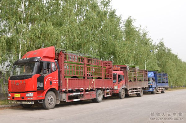 湖北用戶訂購的有機(jī)肥設(shè)備準(zhǔn)備發(fā)貨