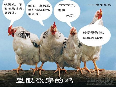 ��a(ch��n)20�f(w��n)���u�S���Ãr(ji��)ֵ�c�ЙC(j��)�����a(ch��n)��