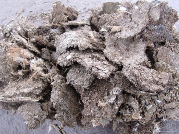 雞糞有機(jī)肥加工設(shè)備為新型養(yǎng)殖場(chǎng)提供環(huán)保新出路