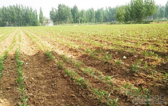 �����C�����ӌ����ݼS���D�����ЙC���ϵ���